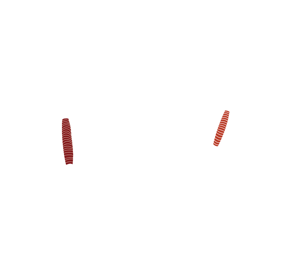 装梭